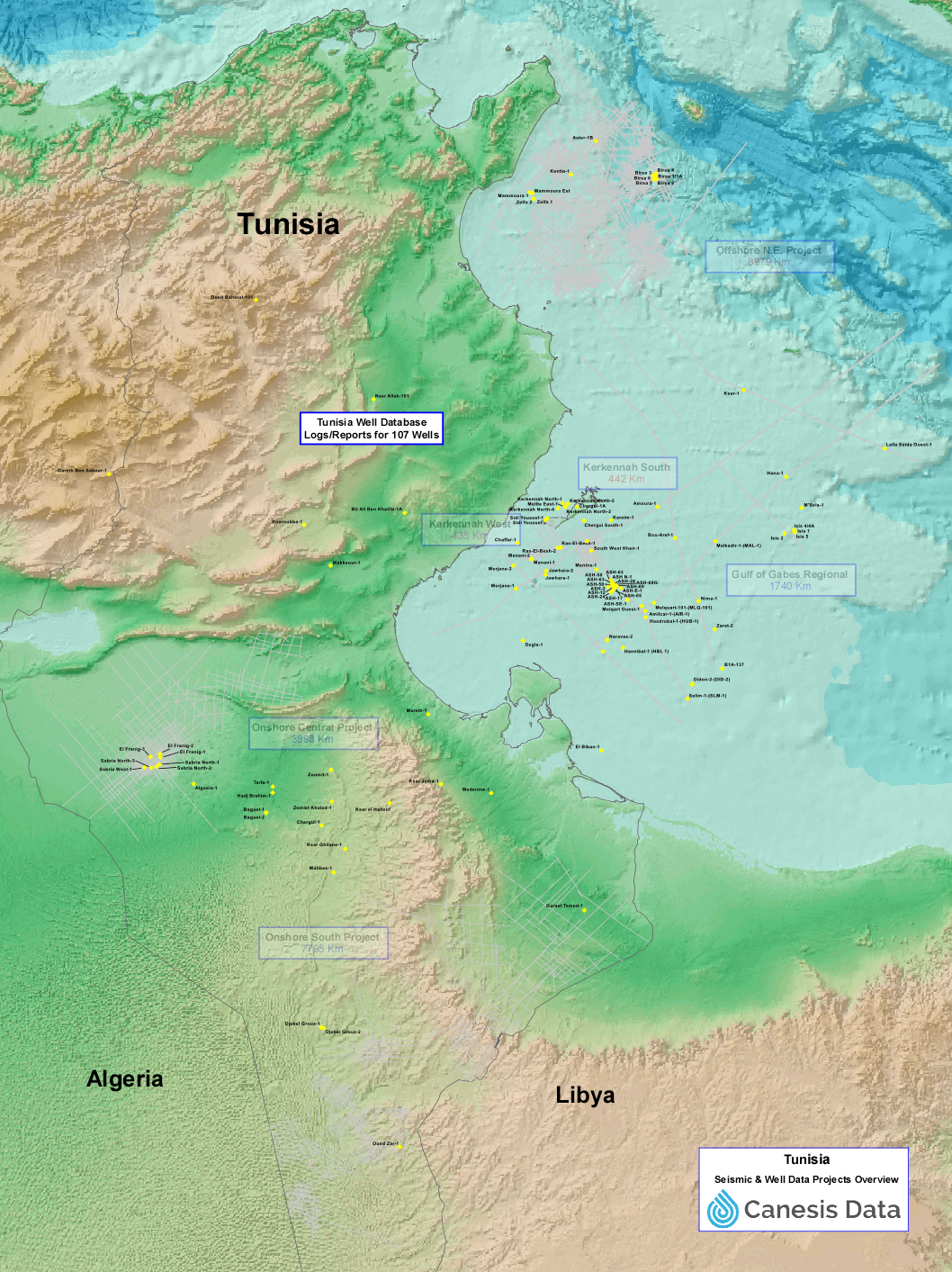Map showing name-captioned wells in Tunisia.