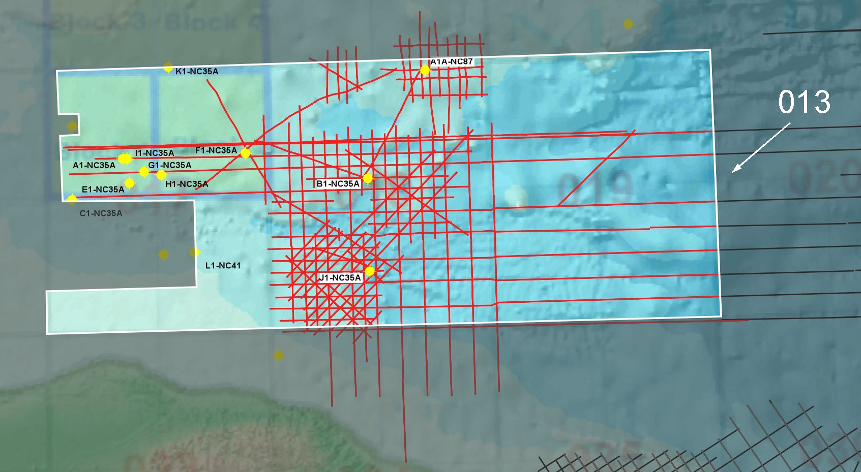 Map showing seismic and well data available for block O13.